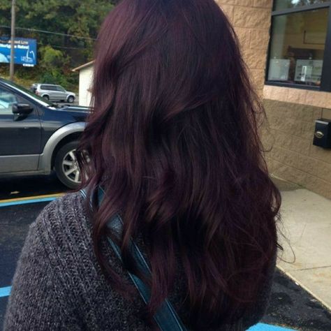 Red Dye Over Black Hair, Dark Brown Plum Hair, Red Hair On Pale Skin, Purple Dark Hair, Plum Brown Hair Color, Hair Colours For Winter, Dark Wine Hair, Dark Cherry Cola Hair, Dark Mahogany Brown Hair