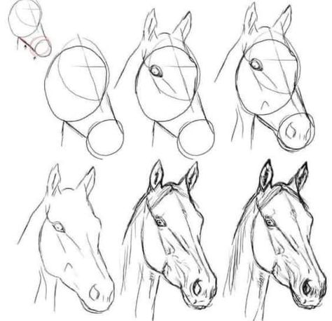 Horse Face Drawing, Easy Horse Drawing, Horse Drawing Tutorial, Horse Pencil Drawing, Horse Head Drawing, Landscape Drawing Tutorial, Realistic Animal Drawings, Horse Art Drawing, Cow Drawing