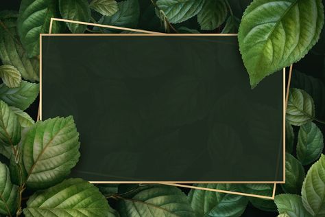 Gold frame on foliage pattern background vector template | premium image by rawpixel.com / manotang Papan Tulis Kapur, Food Background Wallpapers, Wallpaper Powerpoint, Powerpoint Background Templates, Background For Powerpoint Presentation, Hawaiian Party Decorations, Tree Vector, Presentation Backgrounds, Background Powerpoint