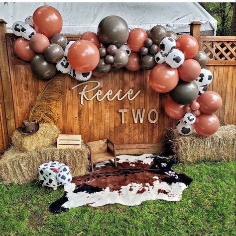 Cow Ballons Decor, Cowboy Baby Birthday Party, Cowboy Second Birthday Party, Western Birthday Decor, 1st Rodeo Birthday Party Boy Decorations, Rodeo 2nd Birthday Party Boy, Rodeo Pinata, 1st Birthday Western Theme, 2nd Rodeo Birthday Party Boy