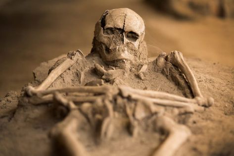 13 of the Weirdest Discoveries Archaeologists Have Made #history #science Irish Island, Irish Ancestry, Pet Cemetery, Ancient Celts, Terracotta Warriors, Life Size Statues, Archaeological Discoveries, Irish History, Ancient Mysteries