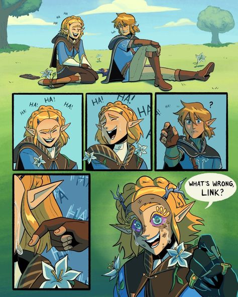 Legend Of Zelda Memes, Zelda Funny, Tears Of The Kingdom, Link Zelda, Zelda Art, Legend Of Zelda Breath, Zelda Breath, Twilight Princess, Breath Of The Wild