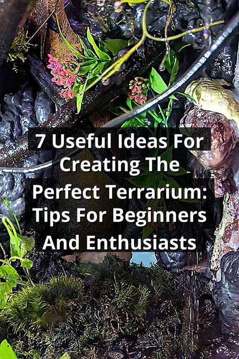 Discover the art of terrarium creation with our guide, "7 Useful Ideas For Creating The Perfect Terrarium: Tips For Beginners And Enthusiasts." Whether you're a novice or a seasoned plant lover, this pin offers essential tips to design your own beautiful, self-sustaining ecosystem. Learn about plant selections, layering techniques, and maintenance tips to ensure your terrarium thrives. Transform your space with these creative ideas and become a terrarium expert today! How To Create A Terrarium Garden, Tropical Terrarium Ideas, Self Sustaining Terrarium, Tropical Terrariums, Terrarium Bowls, Layering Techniques, Self Sustaining, Diy Terrarium, Terrarium Ideas