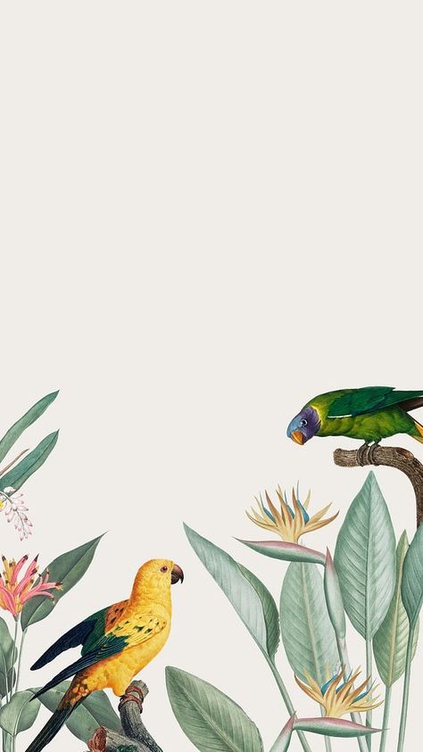 Bird Wallpaper Iphone, Wallpaper Living Room Accent Wall, Spring Iphone Wallpaper, Graphic Design Portfolio Book, Yellow Parrot, Camels Art, Iphone Wallpaper Yellow, Iphone Wallpaper Hd, Cute Images For Wallpaper