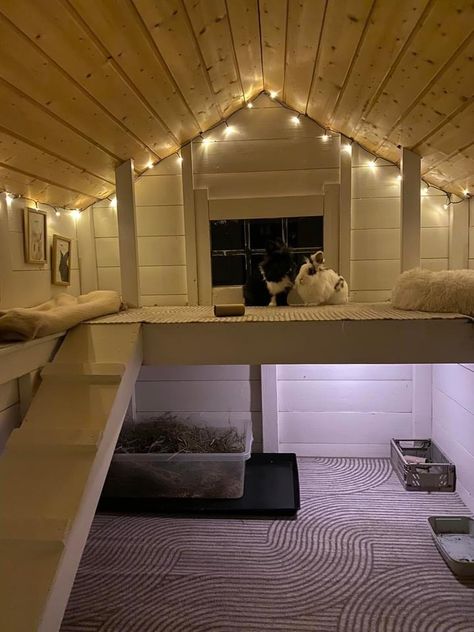 Rabbit Wendy House Ideas, Cute Bunny House Ideas, Rabbit Run Ideas Outdoor, Rabbit Area Indoor, Bunny Shed Ideas, Guinea Pig Room Ideas, Bunny Enclosure Outdoor, Rabbit Room Ideas, Rabbit Shed Ideas