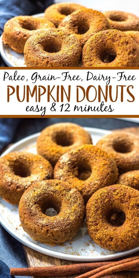 This easy homemade paleo pumpkin donut recipe makes 12 perfect, gluten free and grain free pumpkin spiced donuts. They're the best paleo fall treat that only take a few simple pantry ingredients and a few minutes in the oven. Using real pumpkin, and no refined sugar, these are a much healthier alternative to store-bought pumpkin donuts, and one that the whole family will love! #paleopumpkindonuts #paleodonuts #paleopumpkinrecipes #grainfreedonuts #glutenfreepumpkinrecipes Paleo Pumpkin Dessert, Paleo Fall Recipes, Paleo Pumpkin Recipes, Pumpkin Donuts Recipe, Gluten Free Pumpkin Recipes, Pumpkin Donut, Dairy Free Pumpkin, Pumpkin Spice Donut, Pumpkin Recipes Easy