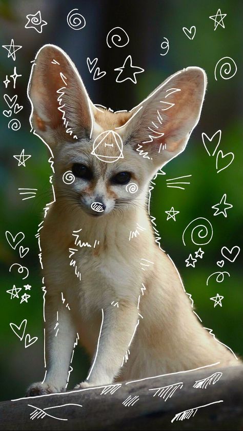 Therian Drawing, Coyote Animal, Therian Mask, Human Icon, Fox Pictures, Fennec Fox, Wolf Spirit Animal, Silly Cats Pictures, Forest Cat