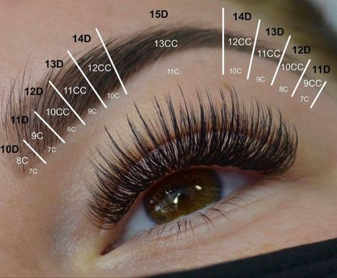 Natural Wispy Lashes Mapping, Mapping Lash Extensions, Wispy Lash Map, Eyelash Mapping, Eye Map, Lash Glue Remover, Pro Lash, Mid Layers, Eyelash Extensions Salons