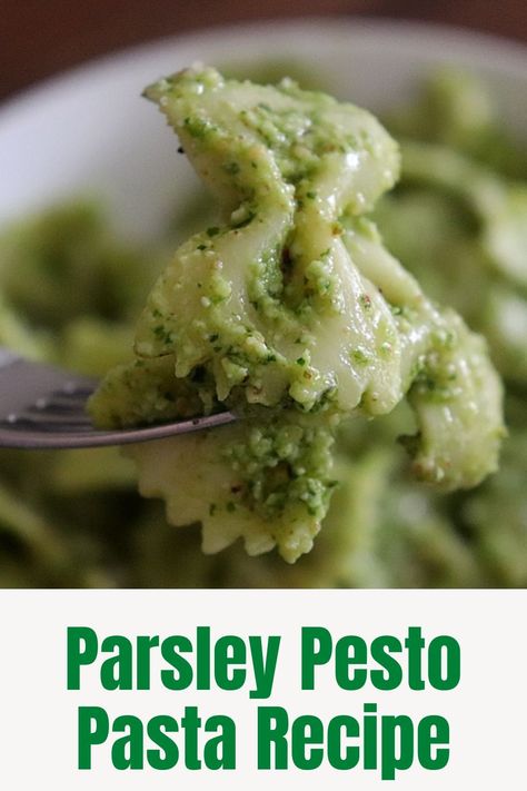 Parsley Pesto Pasta on a fork close up. Parsley Pesto Pasta, Parsley Pasta, Pesto Pasta Recipe, Parsley Recipes, Parsley Pesto, Italian Parsley, Pesto Pasta Recipes, Walnut Pesto, Cooked Pasta