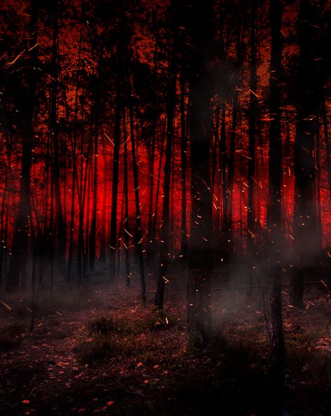 Burning Forest Art, Burning Forest Aesthetic, Fire Aethstetic, Fire Aesthetic Background, Black Fire Aesthetic, Fire Background Aesthetic, Forest Fire Aesthetic, Fire Aesthetic Dark, Red Fire Aesthetic