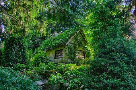 Hidden Forest House Magical Cottage, Fairytale Houses, Casa Hobbit, Fairy Tale Cottage, Hidden Forest, Magical House, Fairytale Cottage, Magical Home, Storybook Cottage