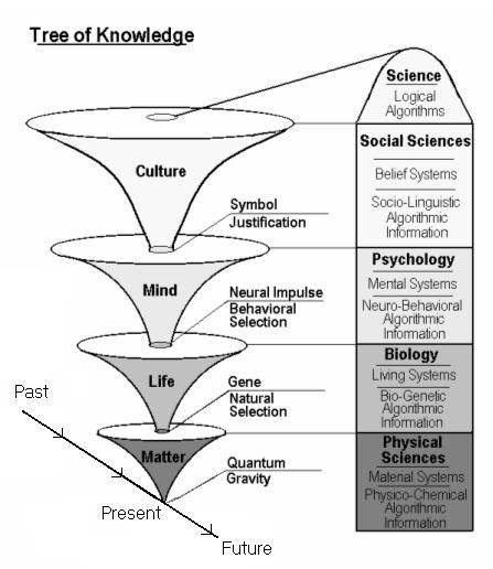 Tree of Knowledge System/Expert article by Gregg Henriques Philosophy Theories, Logic And Critical Thinking, Tree Of Knowledge, Philosophy Of Science, Systems Thinking, Matter Science, Critical Thinking Skills, Knowledge Management, Thinking Skills