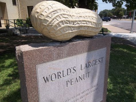 No matter what the plaque under this massive legume says, this is not the world's largest peanut Durant Oklahoma, Gastro Obscura, No Matter What, Travel Bucket List, Worlds Largest, Oklahoma, Burlap Bag, Peanut, Things To Do