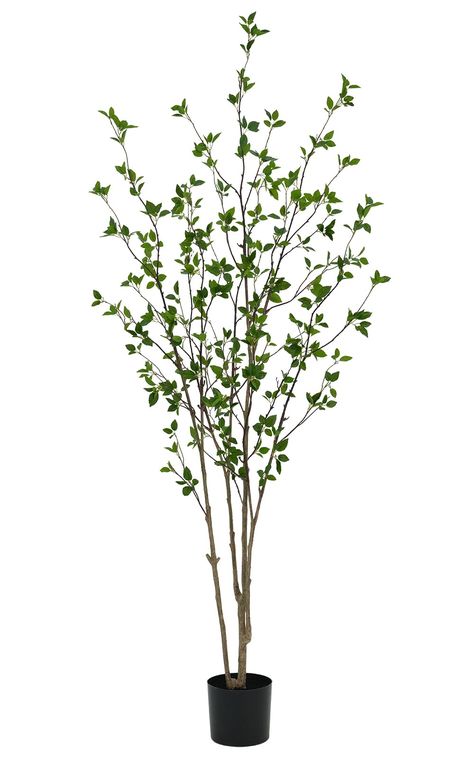 PRICES MAY VARY. ★Bring the beauty of nature indoors with the Artificial Citrus Tree from Haplant. Featuring a realistic trunk and bright green foliage, this faux tree adds a touch of elegance to your home, office or event venue. ★Made from high-quality materials, this indoor artificial plant is durable and requires minimal maintenance. No watering or pruning is required! Our artificial tree is also perfect for allergy sufferers as it contains no pollen or insect attracting ingredients. ★The fak Fake Trees In Bedroom, Fake Tree In Bedroom, Faux Trees Indoor Decor, Indoor Fake Tree, Citrus Tree, Bedroom Porch, Porch Floor, Fake Trees, Home Office Living Room