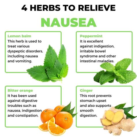 Home Remedy For Nausea, Remedy For Nausea, Home Remedies For Nausea, Relieve Nausea, How To Relieve Nausea, Remedies For Nausea, Natural Health Care, Irritable Bowel, Natural Therapy