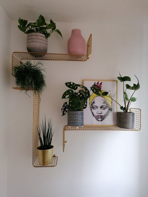 Gold SVENSHULT ikea shelves with plants and print 🌿 @plantmadsisters Ikea Shelf Plants, Svenshult Ikea Ideas Wall Shelves, Ikea Wall Decor Ideas, Ikea Wall Shelves Bedroom, Svenshult Ikea Ideas, Ikea Svenshult, Ikea Shelf Decor, Gold Wall Shelves, Ikea Gold