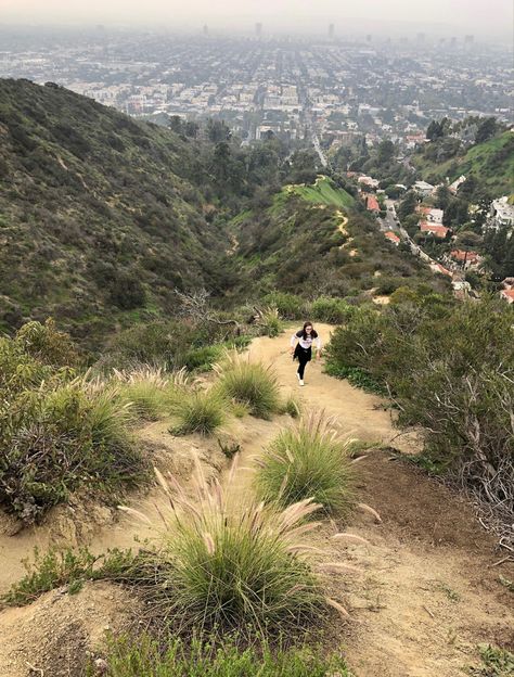 Hollywood Hills hike Hollywood Hills Aesthetic, Los Angeles Hikes, Hollywood Hike, Hollywood Sign Hike, Hiking List, La Hikes, Hikes In Los Angeles, La Aesthetic, Usa Nature