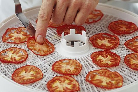 Learn how to dry tomatoes in a dehydrator in only 15 minutes of preparation time for the six- to eight-hour process to make a variety of fun dishes. Food Dehydrator Recipes, Dehydrating Tomatoes, Canning Pressure Cooker, Dehydrated Vegetables, Food Dehydrator, Pressure Cooker Chicken, Tomato Chutney, Dehydrated Food, Sun Dried Tomatoes