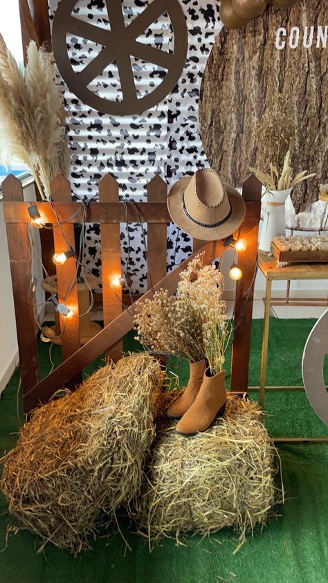 Western Theme Party Decorating Ideas, Cowboy Party Decorations, Country Birthday Party, Wild West Birthday, Cowboy Theme Party, Wild West Party, Western Birthday Party, Rodeo Party, Country Birthday