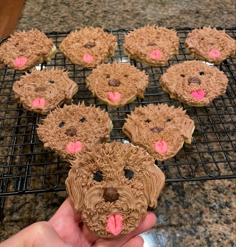 Dog Cupcakes Design, Labradoodle Cupcakes, Goldendoodle Birthday Cake, Dog Cookie Cake Design, Cockapoo Cupcakes, Goldendoodle Cupcakes, Golden Doodle Cookies Decorated, Golden Doodle Cupcakes, Golden Doodle Birthday Party