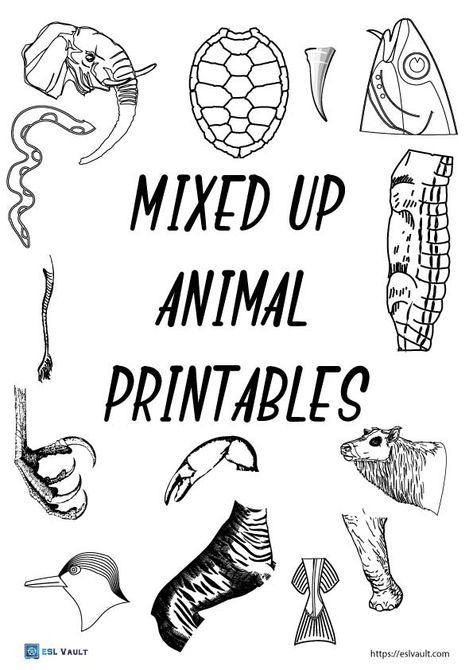 Free mixed up animal printables for kids craft activities. Use these PDFs to mix and match body parts and make silly animal mix up pictures. Animal Mix, Feather Template, Create An Animal, Cute People, Animal Activities For Kids, Animal Lessons, Animal Body Parts, Animals Coloring Pages, Strange Beasts