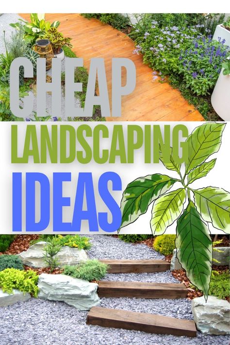 Transforming your yard on a budget is easy with a few cost-effective landscaping ideas. Start by using mulch alternatives like leaves or grass clippings to keep the soil moist and reduce weed growth, and opt for hardy native plants or perennials that require less maintenance and replanting each year. DIY pathways made of gravel or recycled materials like bricks can create attractive, functional walkways without spending a lot. You can also upcycle old containers or tires as planters for a personal touch. Ground covers such as creeping thyme can replace costly lawns in some areas, and solar lights provide affordable, eco-friendly illumination. With a little creativity and resourcefulness, you can design a beautiful outdoor space on a budget.  #cheap #landscaping #garden Easy Landscaping Ideas On A Budget, Flagpole Landscaping Ideas Front Yard, No Plant Landscape Ideas, No Grass Backyard Ideas On A Budget, Easy Yard Landscaping, Mulch Alternative Ideas, Diy Landscaping Ideas On A Budget, Landscape Ideas Cheap, Easy Garden Ideas On A Budget