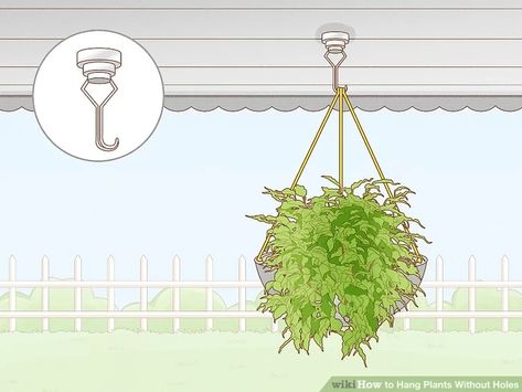 How To Hang Plants Renter Friendly, Rental Friendly Hanging Plants, How To Hang A Potted Plant, Suction Cup Plant Hanger, Renter Friendly Ways To Hang Plants, Hanging Plants Indoor Renter Friendly, Hanging Plant Baskets On Wall, Rent Friendly Plant Hanging, Ways To Hang Plants Outside