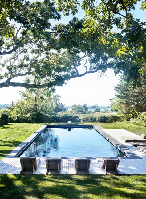 Country Pool Landscaping, Long Pool, Miranda Brooks, Country Pool, The Life Aquatic, Pump House, Planting Ideas, Modern Barn House, Life Aquatic