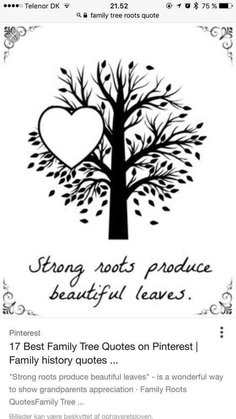 Roots Quotes, Tree Unit, Nature Quotes Trees, Family Tree Quotes, Leaf Quotes, 365 Jar, Family Tree Tattoo, Grandparents Quotes, Tree Quotes