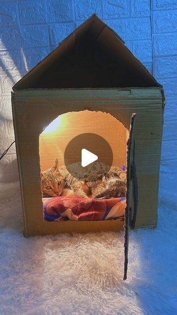 Diy Kitten House, Outside Cat House Diy, Cardboard Cat House Diy, Outdoor Cat House Diy, Cat House Diy Cardboard, Diy Cat House, Outside Cat House, Cardboard Cat House, Cat House Diy