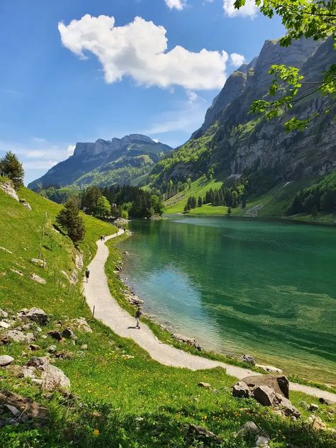 Hike to Seealpsee near Appenzell - Switzerland First Mountain Switzerland, Ebenalp Switzerland, Switzerland Hikes, Switzerland Travel Photography, Appenzell Switzerland, Summer Switzerland, Hiking Switzerland, Switzerland Nature, Switzerland Summer