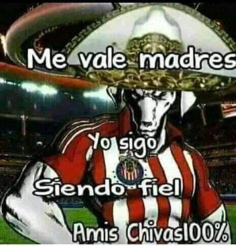 Chivas 100% ♥ Chivas Soccer, Spectacular Spider Man, Funny Cartoon Gifs, Roblox Funny, Funny Animal Memes, Funny Cartoon, Animal Memes, Dankest Memes, Fifa