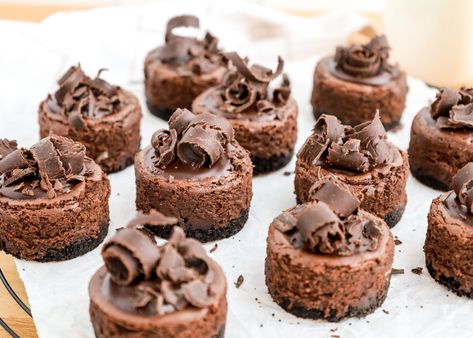 Chocolate Mini Cheesecakes, Cheesecake With Oreo Crust, Oreo Crust Cheesecake, Rich Cheesecake, Mini Cheesecake Recipes, Chocolate Cheesecake Recipes, Chocolate Crust, Cheesecake Chocolate, Oreo Crust