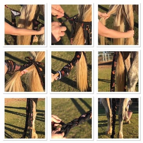 How to tie a tail bag into your horses tail - Buggez Bugeyes Horse Tail Bags, Tail Bags For Horses, Horse Tail, Step By Step Instructions, Step By Step, Horses