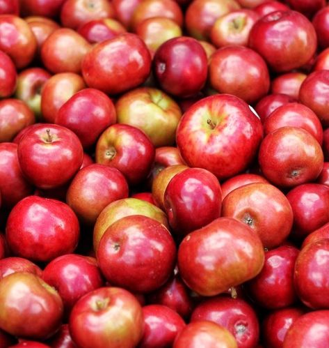 Sjogrens Syndrome Diet, Fruit Leather, Black Russian, Fruit Snacks, Food Healthy, Food Trucks, Cinnamon Apples, Healthy Plants, Red Apple