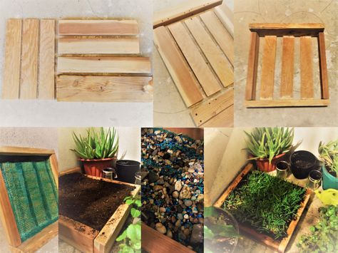 Cat Grass Box Diy, Dog Potty Patch, Dog Potty Area, Dog Corner, Mini Altar, Cat Grass, Dog Potty, Dog Enrichment, Box Wood