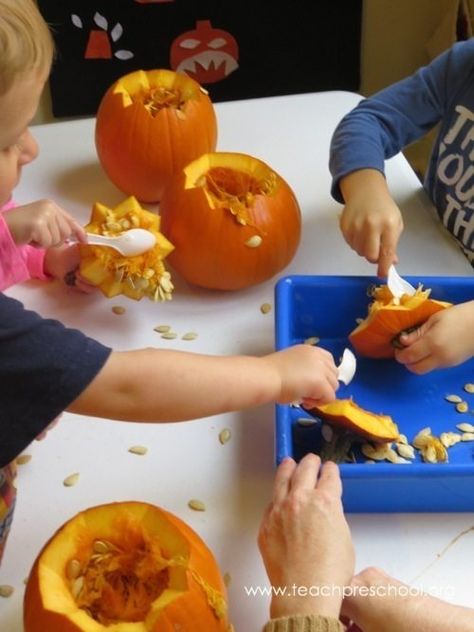 Exploring pumpkins and then having fun exploring the seeds with pumpkin seed soup! Eyfs Halloween, Pumpkin Seed Activities, Inside Of A Pumpkin, Pumpkins Preschool, Preschool Sensory, Teach Preschool, Fall Preschool Activities, Autumn Activities For Kids, Fall Preschool