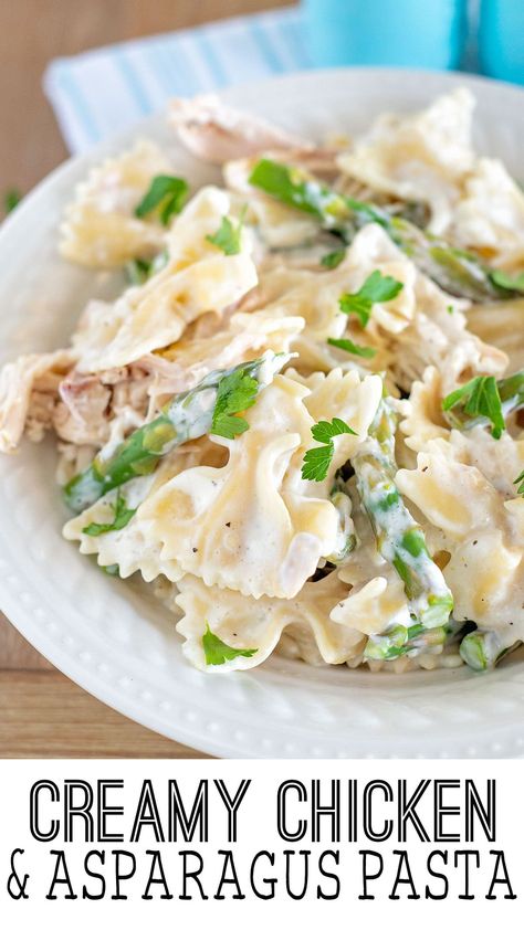 Creamy Chicken and Asparagus Pasta is a recipe everyone loves. Creamy, flavorful and filled with hearty ingredients like chicken, pasta, cream, and asparagus! Chicken And Asparagus Pasta, Creamy Chicken And Asparagus, Chicken Asparagus Pasta, Creamy Cajun Pasta, Chicken And Asparagus, Asparagus Pasta, Chicken Asparagus, Like Chicken, Pasta Night