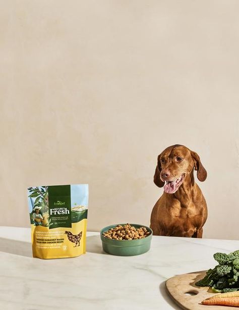 Mars Photoshoot, Fresh Recipe, Product Still Life, Pet Food Packaging, Pets Food, Animal Photoshoot, Dog Accesories, Line Images, Dog Model