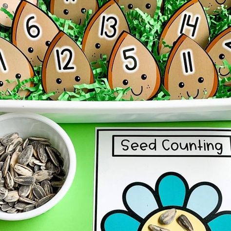 Seed Counting Preschool, The Tiny Seed Activities Preschool, Seed Activities For Preschool, Tiny Seed Activities, Seed Crafts For Kids, Seeds Preschool, Seed Activities, Preschool Classroom Setup, April Preschool