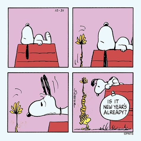 Snoopy New Year, Woodstock Peanuts, Snoopy Comics, Peanuts Comic Strip, Snoopy Funny, Peanuts Cartoon, Snoopy Quotes, Peanuts Christmas, Snoopy Pictures