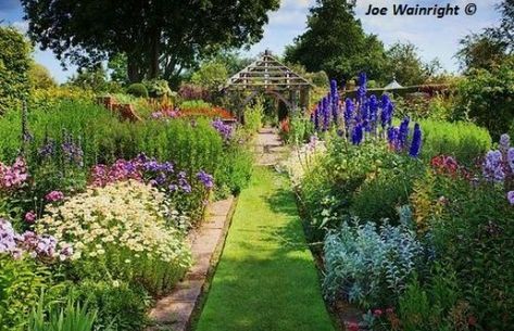 The lovely gardens at Wollerton Old Hall British Garden, Big Garden, English Country Gardens, English Cottage Garden, Unusual Plants, Perennial Garden, English Garden, Country Gardening, Garden Paths