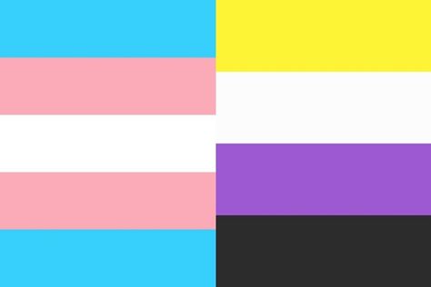 Trans Nonbinary Flag, Trans Nonbinary, Nonbinary Flag, Flag Icon, Cute Fantasy Creatures, Happy Pride, Pride Month, Fantasy Creatures, Pie Chart