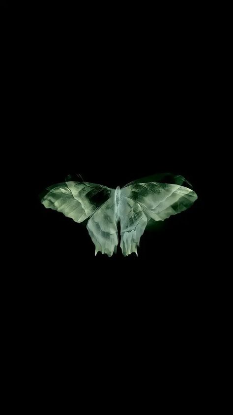 Aesthetic Black And Green Wallpaper, Navy Green Aesthetic, Black And Green Aesthetic Wallpaper, Black And Green Butterfly, Butterfly Black Background, Dark Green Aesthetic Wallpaper, Moth Wallpaper, Zen Aesthetic, Not Wallpaper