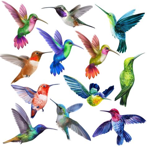 PRICES MAY VARY. Hummingbird Magnets Bulk: you will receive 12 pieces of colorful hummingbird magnets, enough quantity and style to meet your decoration needs, suitable for your refrigerator decoration, room decoration Trustworthy to Use: magnetic hummingbird are made of quality PVC and magnet material, waterproof, lightweight, durable, magnetic, not easy to break or deform, can have long lasting service life Convenient to Use: our bird magnets for refrigerator can stay in place on whiteboard, l Home Whiteboard, Refrigerator Decoration, Watercolor Hummingbird, Hummingbird Painting, Fridge Decor, Unique Gadgets, Handmade Sticker, Magnets Fridge, Small Birds