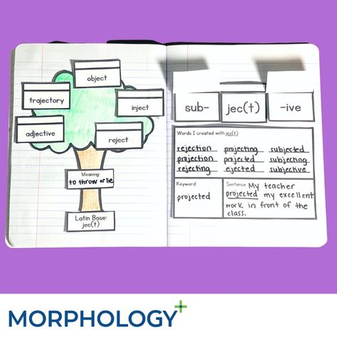 IMSE | Morphology+ Interactive Notebook Bundle Imse Orton Gillingham Morphology Interactive Notebook, Morphology Notebook, Morphology Wall, Adjective Words, Structured Literacy, Teacher Projects, Create Quotes, Math Intervention, Ela Activities