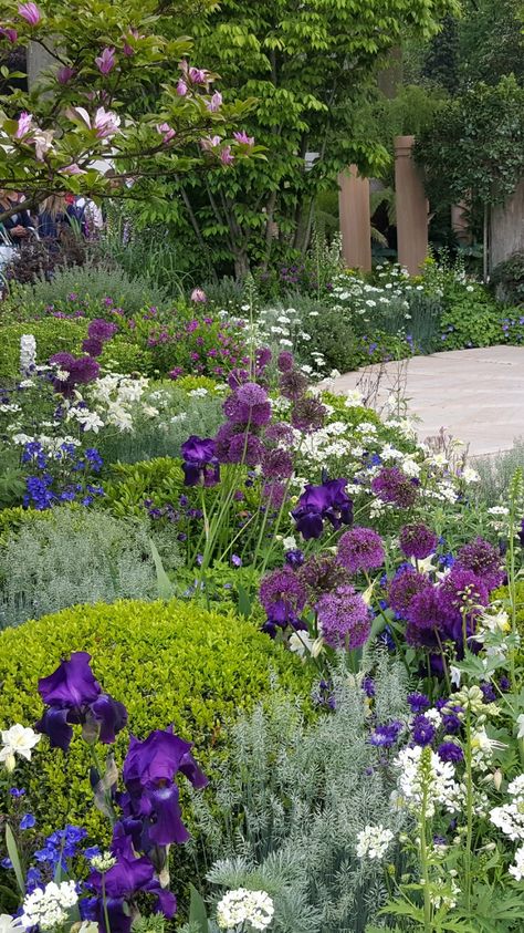 Planting Combinations with allium, iris and acid green and possibly wormwood shrubby plants Garden Inspo, Cottage Garden Design, Purple Garden, Shade Perennials, Landscape Edging, Have Inspiration, Country Garden, Garden Borders, Gorgeous Gardens