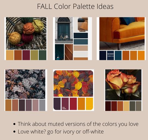 What to wear to your Fall Family Photo Session? Color Pallet For Family Photos, Fall Family Photos Color Scheme Black, Fall Photo Palette, Fall Photoshoot Palette, Fall Photo Session Color Palette, Photo Session Color Schemes Fall, Family Photos Color Scheme Fall, Fall Color Schemes, Family Photo Colors