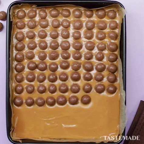 You might not be a millionaire yet but you'll definitely feel like one after a bite of these  Save our Malteser Millionaires Shortbread… No Bake Biscuit Cake, Millionaire Shortbread Recipe, Malteser Cake, Millionaire's Shortbread, Millionaire Shortbread, Shortbread Recipe, Shortbread Recipes, Salty Cake, Biscuit Cake