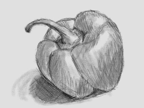 Shading of a pepper Bell Pepper Drawing, Pepper Drawing, Colored Pencil Drawing Techniques, Fruit Sketch, Natural Form Art, Buddha Art Drawing, Pencil Drawings For Beginners, Fruits Drawing, Realistic Pencil Drawings